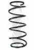 SPIDAN 49538 Coil Spring